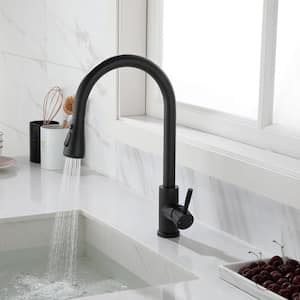 Single-Handle Pull-Out Sprayer Kitchen Faucet Deckplate Not Included 1.8 GPM in Black