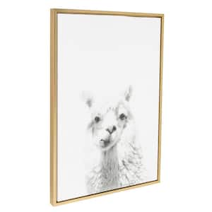 33 in. x 23 in. "Alpaca Portrait" by Tai Prints Framed Canvas Wall Art