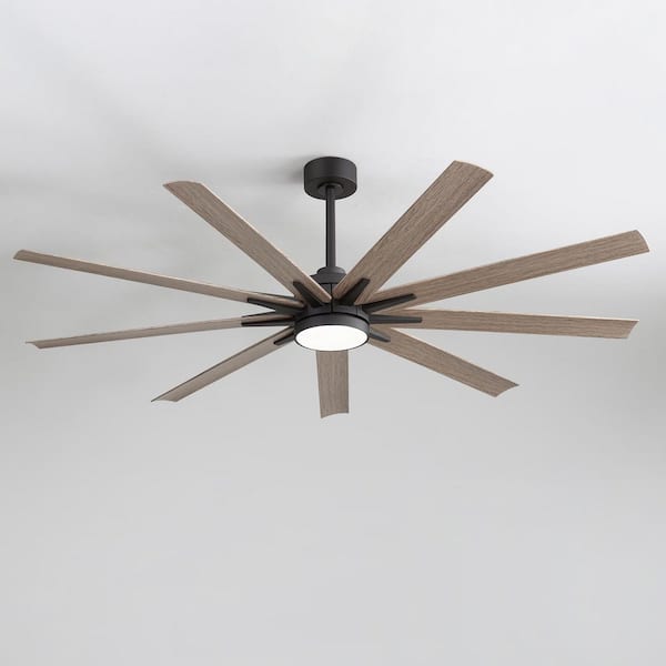 Breezary Zolman 65 in. Windmill Black Ceiling Fan with LED Light