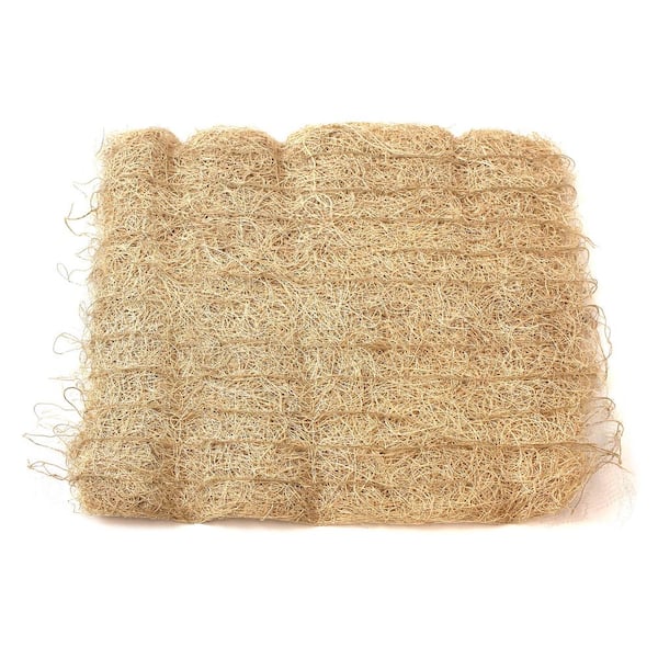 DIAL 24 in. x 30 in. Aspen Pad