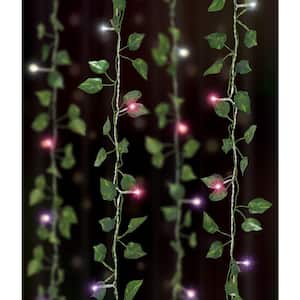 66 Ombre Light 3.5 ft. x 5 ft. Indoor Battery Operated Integrated LED Curtain Vine String Lights