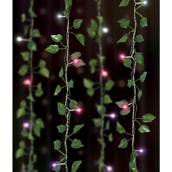 Unbranded 66 Ombre Light 3.5 ft. x 5 ft. Indoor Battery Operated Integrated LED Curtain Vine String Lights