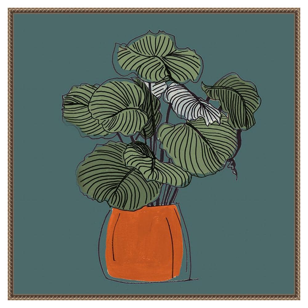 The Retro Pot On Teal I by Patricia Pinto 1-Piece Floater Frame Giclee Home Canvas Art Print 30 in. x 30 in. price history on PriceWatchPro