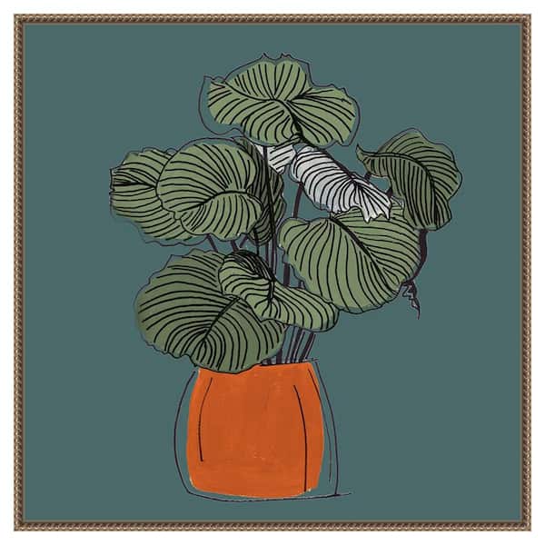 Amanti Art "The Retro Pot On Teal I" by Patricia Pinto 1-Piece Floater Frame Giclee Home Canvas Art Print 30 in. x 30 in.