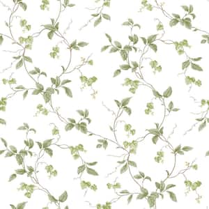 Kitchen Recipes Leaf Trail Vinyl Wallpaper in Green and Beige