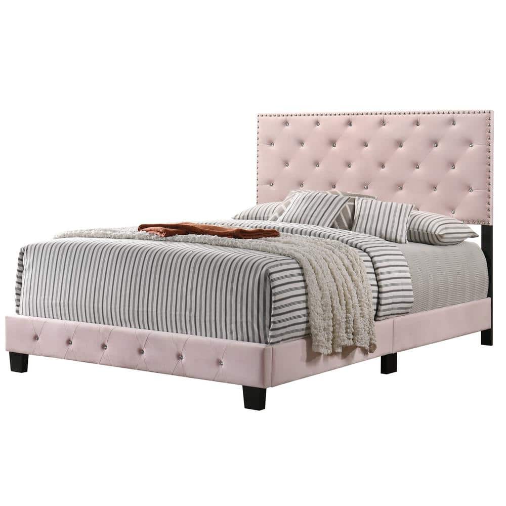 Suffolk Pink Velvet Upholstered Queen Panel Bed with Nailhead Trim