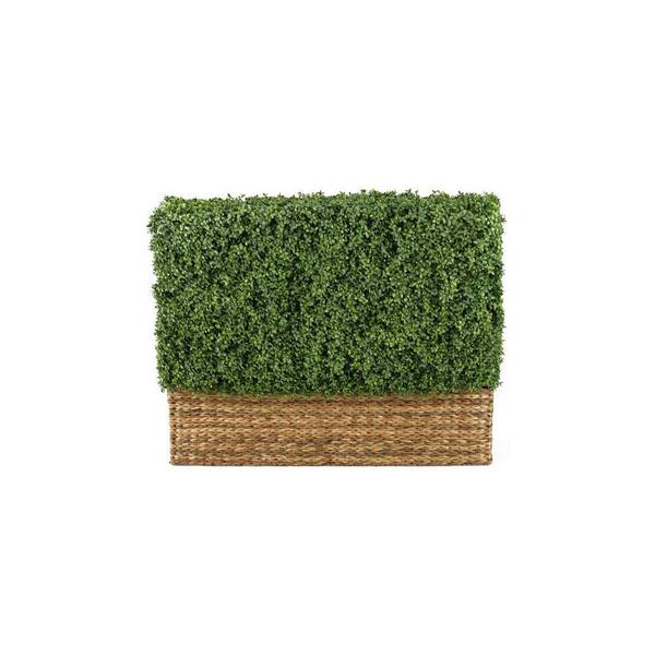 Home Decorators Collection Hamptons 4 ft. Hedge Topiary
