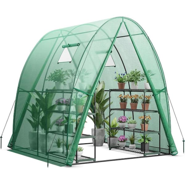 72 in. W x 72 in. D x 79 in. H Outdoor Portable Green Wall-in Tunnel Greenhouse Hot House Grow Tent