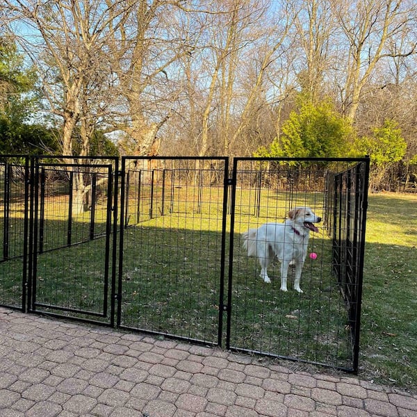 Pet Friendly Dog Run Ideas For Small Yards ALEKO 10 H X 10 W X H