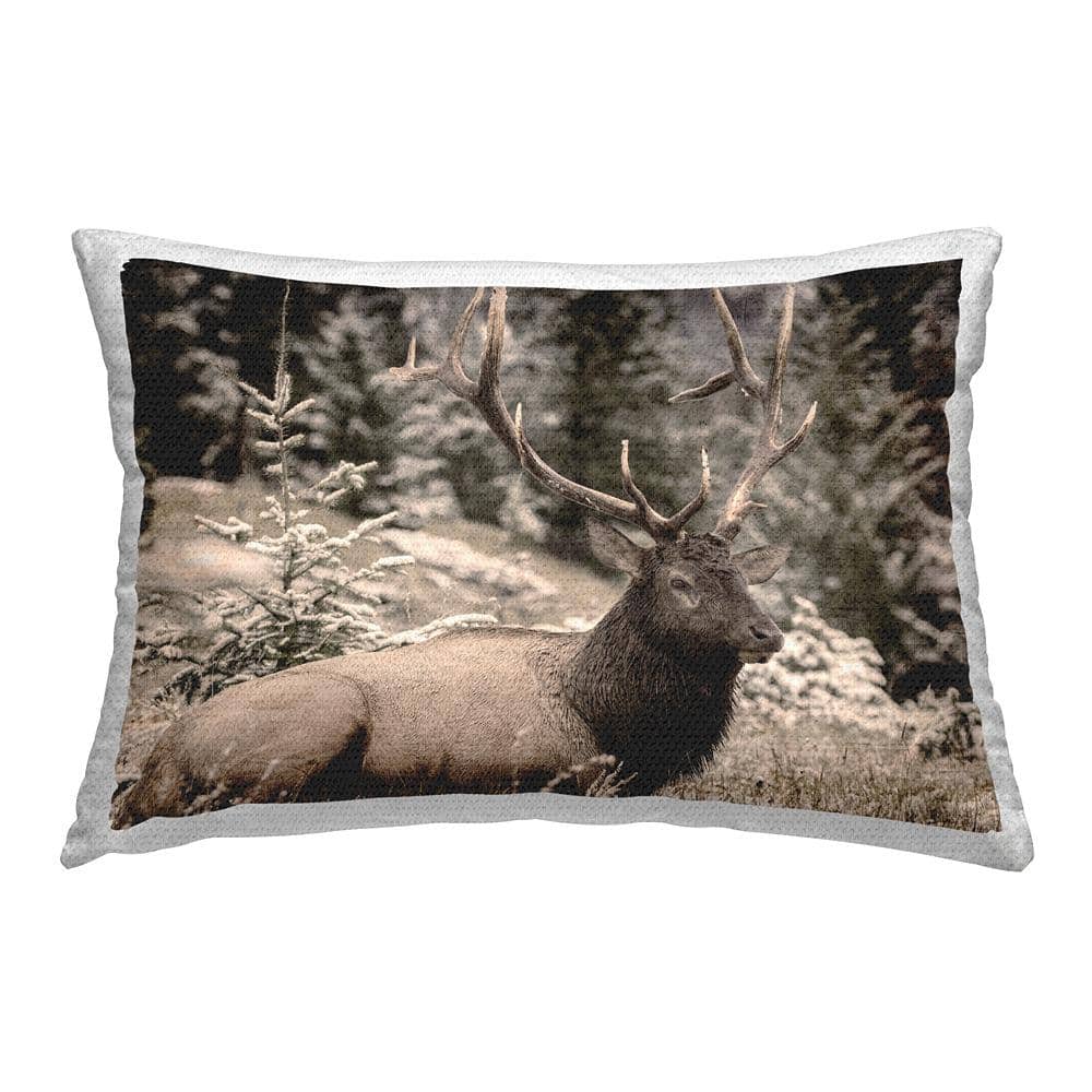 Forest Elk Portrait Brown Rectangular Outdoor Throw Pillow price history on PriceWatchPro