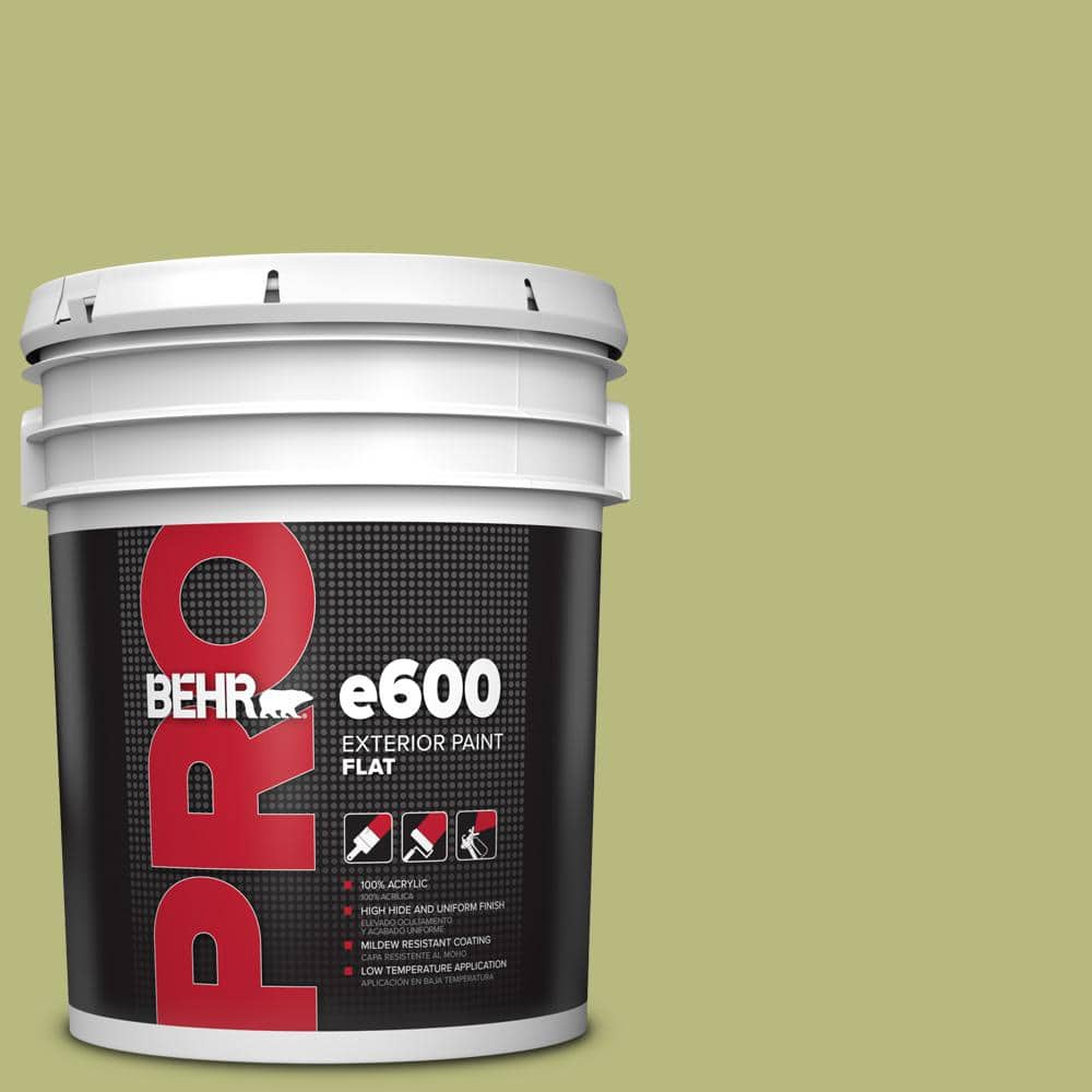 5 gal. #400D-5 Grass Cloth Flat Exterior Paint price history on PriceWatchPro