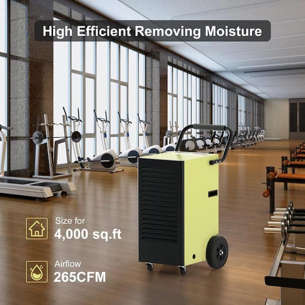 Best ECO Farm 156L Commercial Industrial Dehumidifier High Power