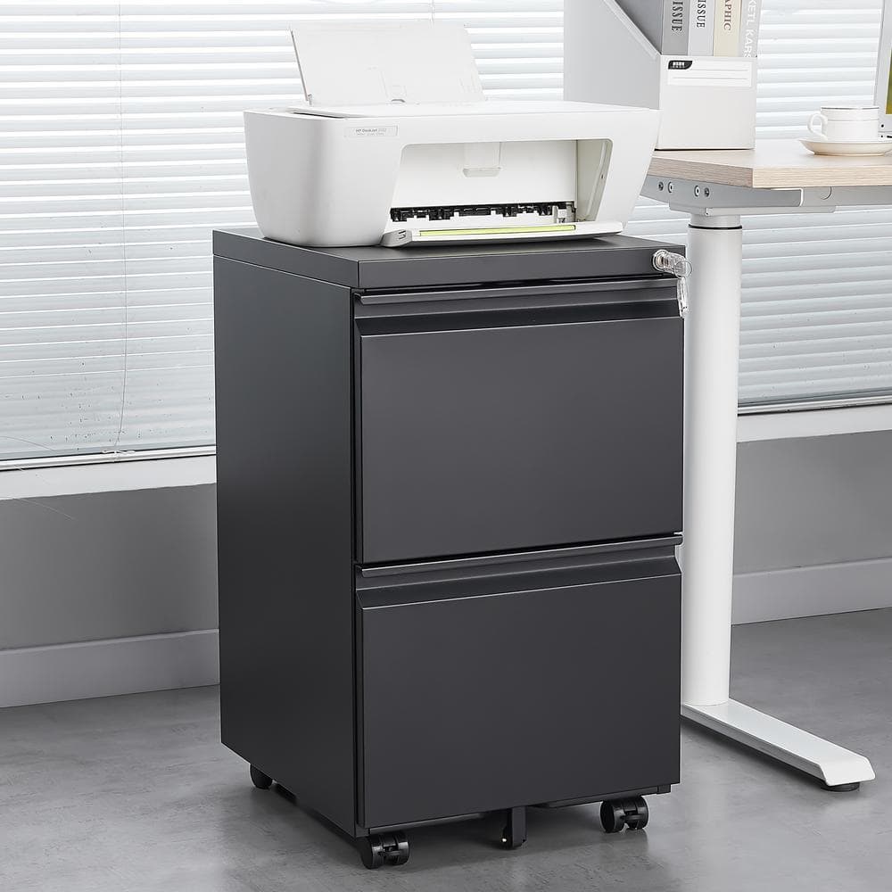 CSC DECOR INC Black 2-Drawer 26 in. x 15 in. x 17 in. Metal Mobile ...