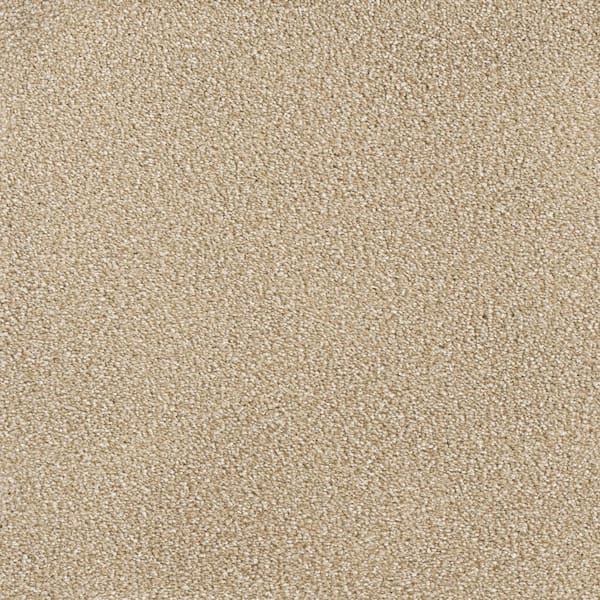 Home Decorators Collection 8 in. x 8 in. Texture Carpet Sample - Spicework I -Color Lake