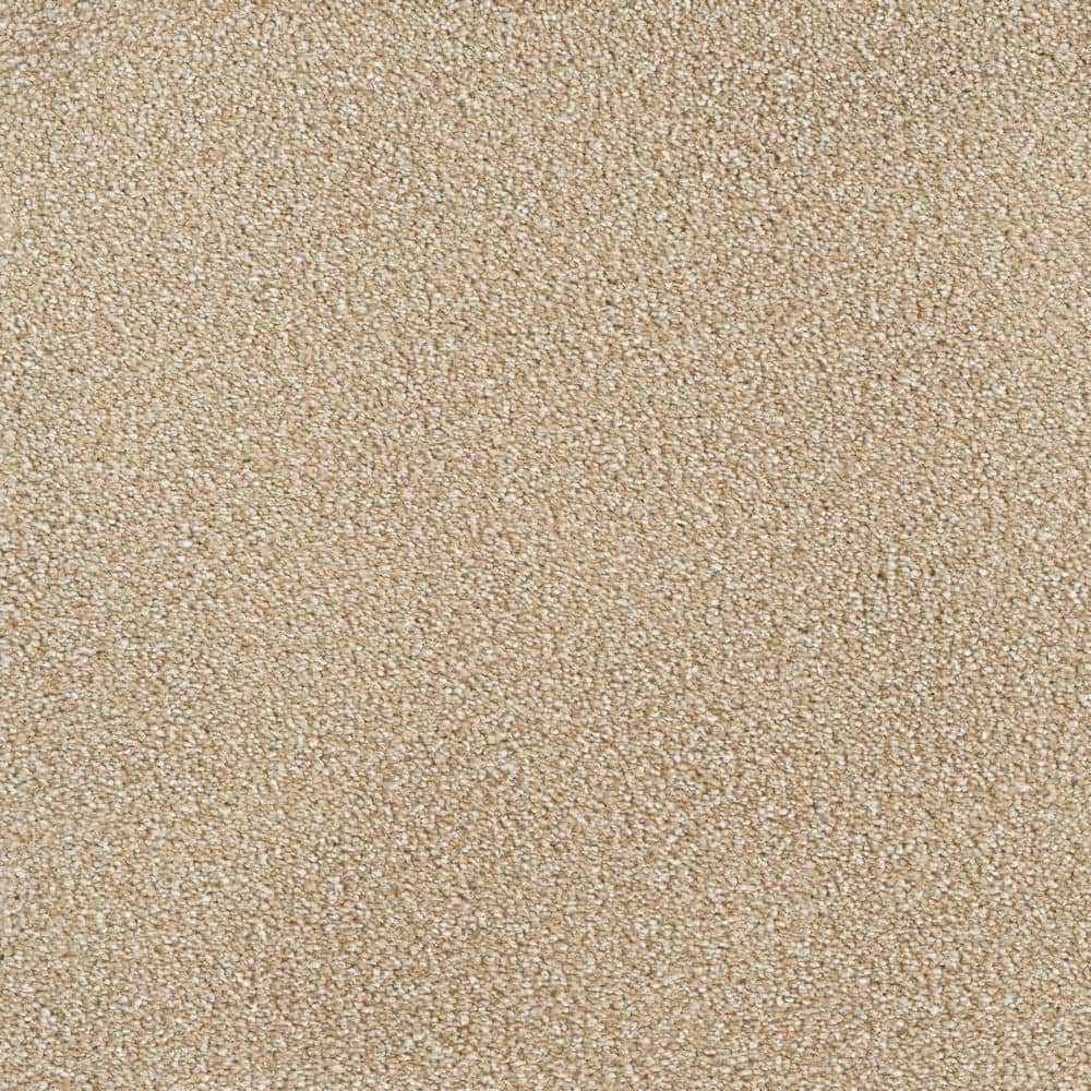 8 in. x  8 in. Texture Carpet Sample - Spicework II -Color Lake price history on PriceWatchPro