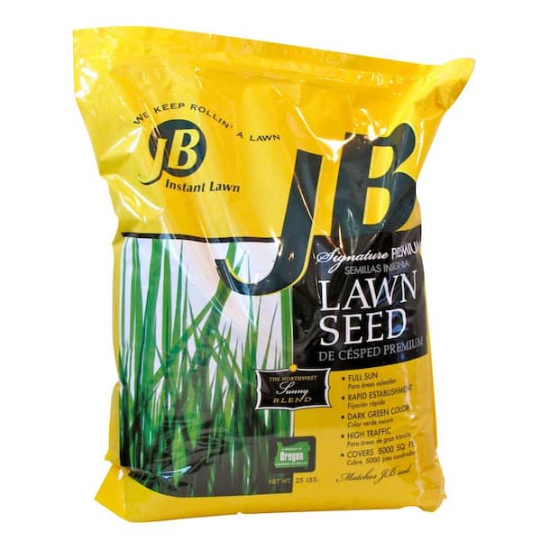 JB 25 lbs. Perennial Ryegrass Lawn Seed25Sun The Home Depot