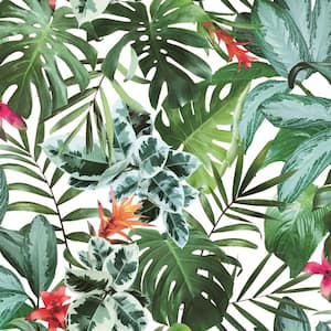Rainforest Peel and Stick Wallpaper (Covers 60 sq. ft.)