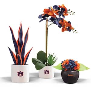 20 in. Auburn War Eagle Artificial Orchid Plant, Snake Plant, and Hydrangea (3-Pack)