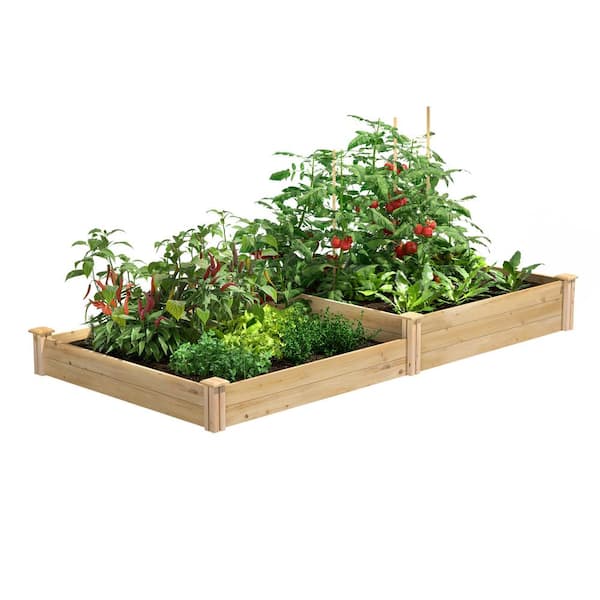 Vigoro Natural Cedar Raised Garden Bed with 2 Sections (4 ft. L x 8 ft. W x 10.5 in. H)