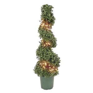 44 in. Artificial Boxwood Spiral Topiary with 128 Supernova 7-Function LED Lights and 70 Warm White LED Lights, Timer