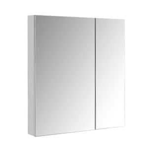 30 in. W x 26 in. H Silver Aluminum Recessed or Surface Mount Medicine Cabinet with Mirror and Adjustable Shelves