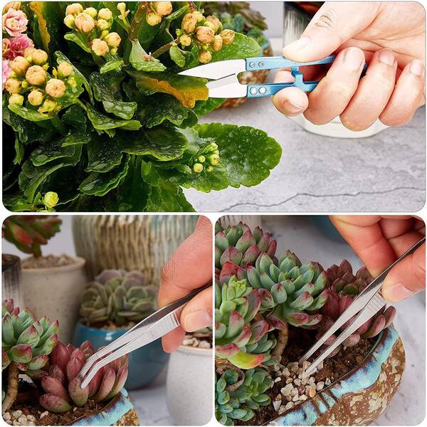 Unbranded 19-Piece Garden Tool Set Mini Transplanting Tools Miniature  Succulent Hand Tool Set B08YYDBB38