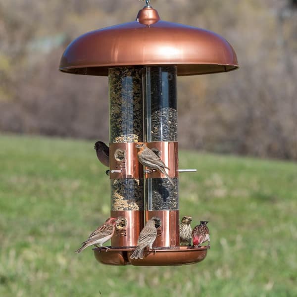 10 lb bird feeder