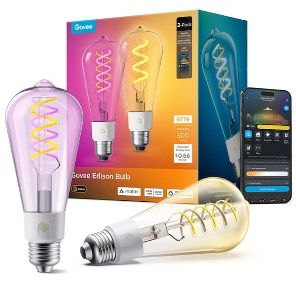 Govee 500LM RGBWW Smart ST19 LED Bulb 2 Pack M14C0AC2 - The Home Depot