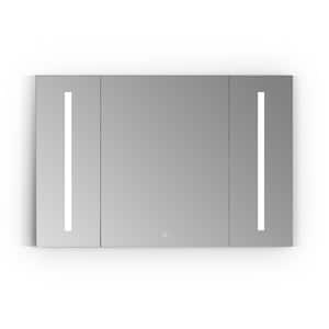 Catola 48 in. W x 32 in. H Medium Rectangular Silver Recessed/Surface Mount Medicine Cabinet with Mirror and Lighting