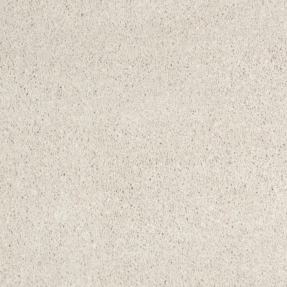 8 in. x 8 in. Texture Carpet Sample - Appreciate I - Color Bliss price history on PriceWatchPro