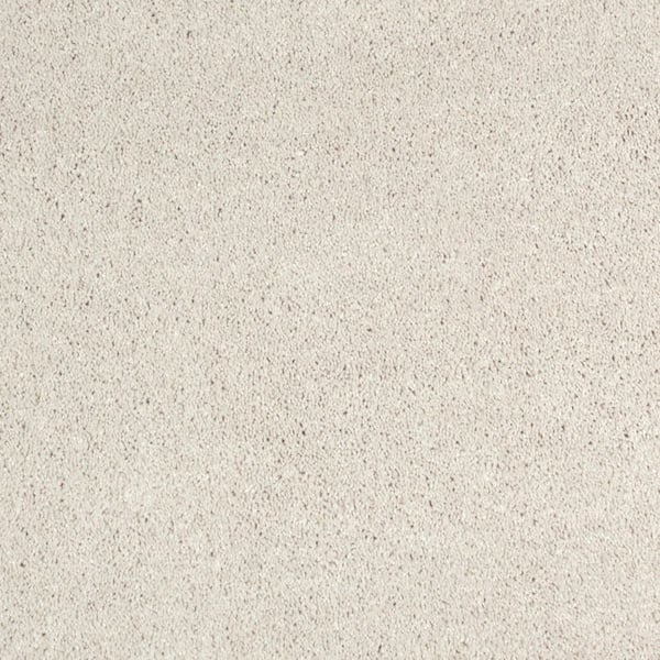 8 in. x 8 in. Texture Carpet Sample - Appreciate I - Color Bliss