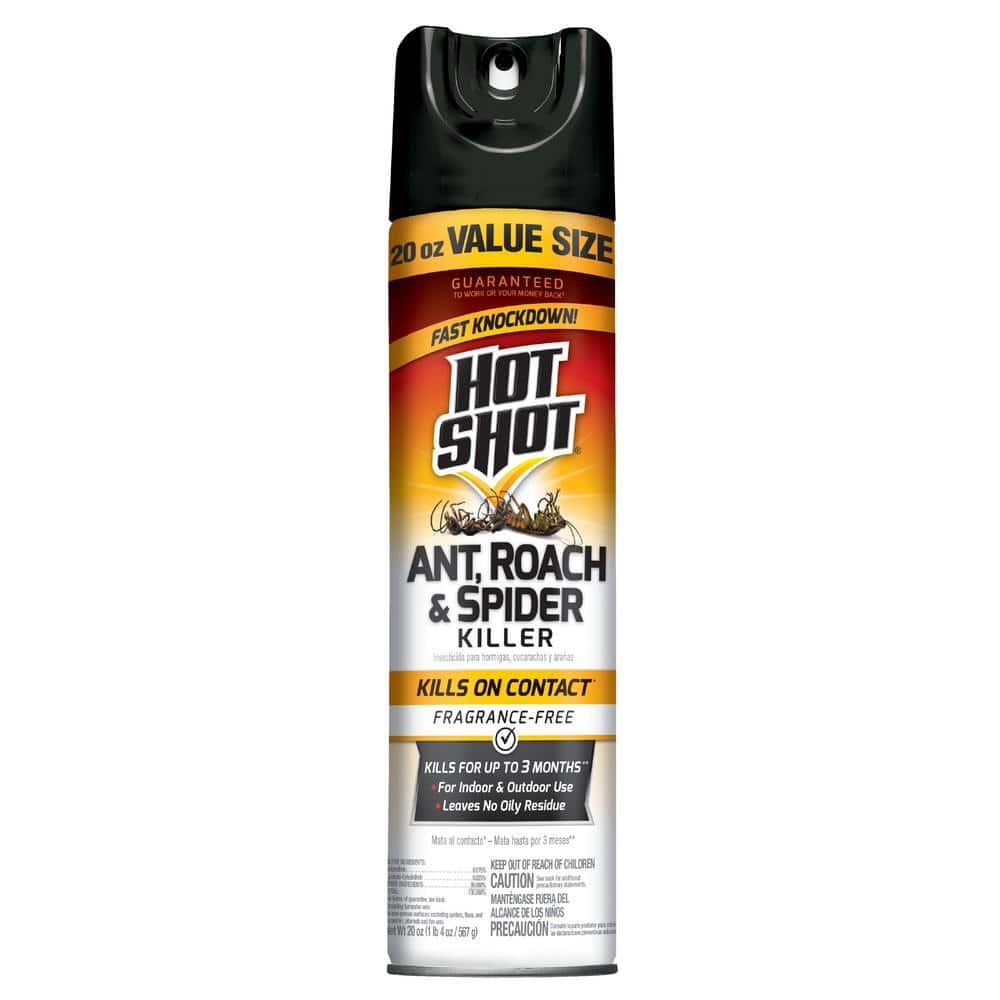 Hot Shot 20 oz. Ant Roach and Spider Insect Killer Aerosol HG