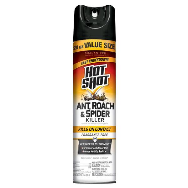 Hot Shot 20 oz. Ant Roach and Spider Insect Killer Aerosol HG96814