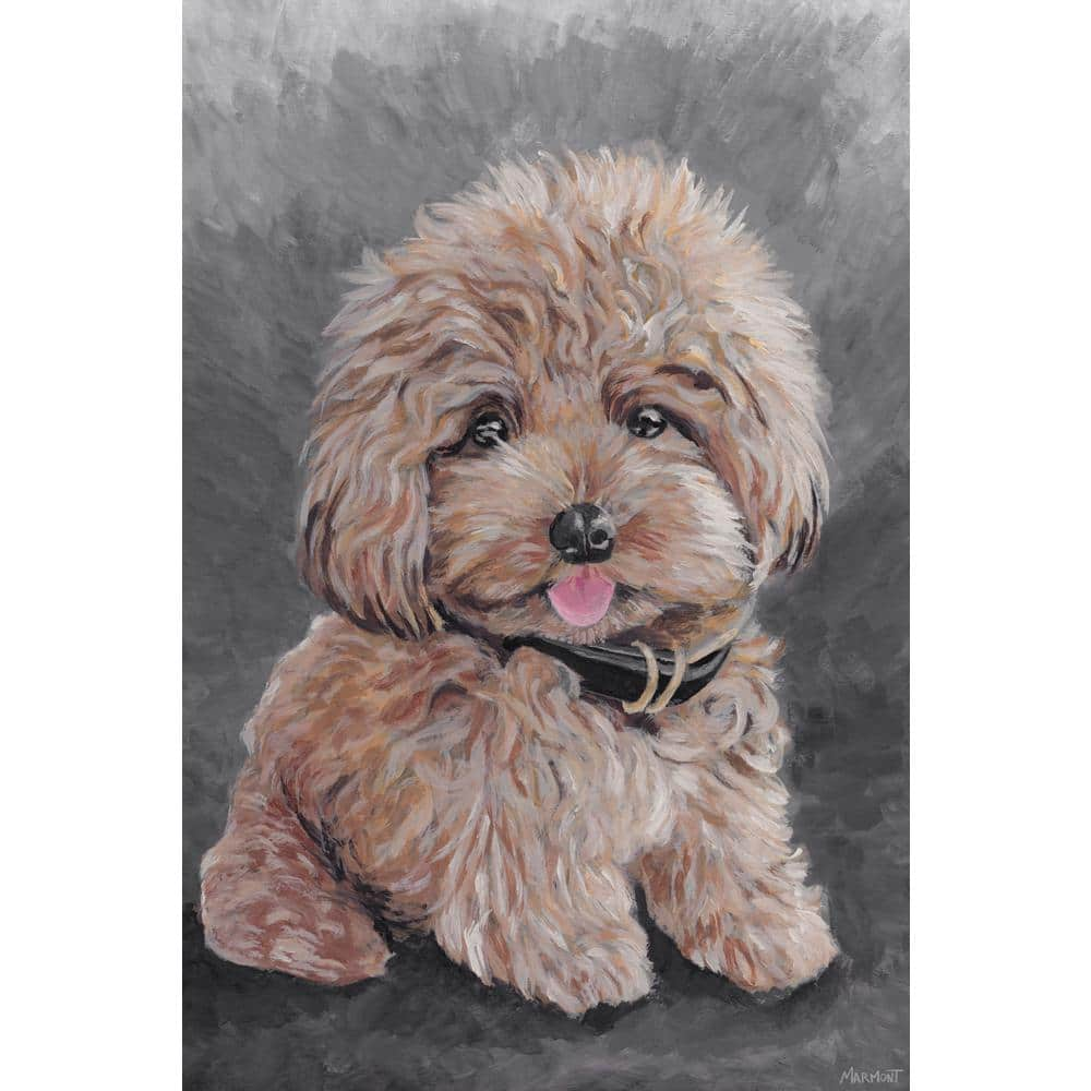 Toy Poodle Dog with puppies available as Framed Prints, Photos, Wall Art  and Photo Gifts