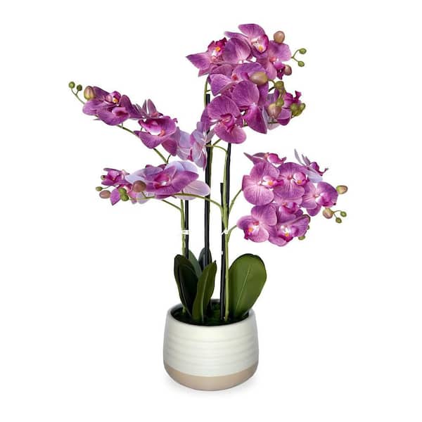 28.5 in. Purple Indoor Artificial Orchid in White Pot Realistic Faux Floral Arrangement Decorative Tabletop Home Accent
