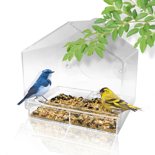 Perky-Pet Clear Window Bird Feeder with 4 Suction Cups- 1 lb. Capacity 347  - The Home Depot