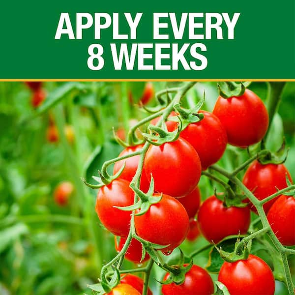 Vigoro 3.5 lbs. Tomato and Vegetable Garden Plant Fertilizer Plus Calcium  to Promote Growth and High Yields 124346 - The Home Depot