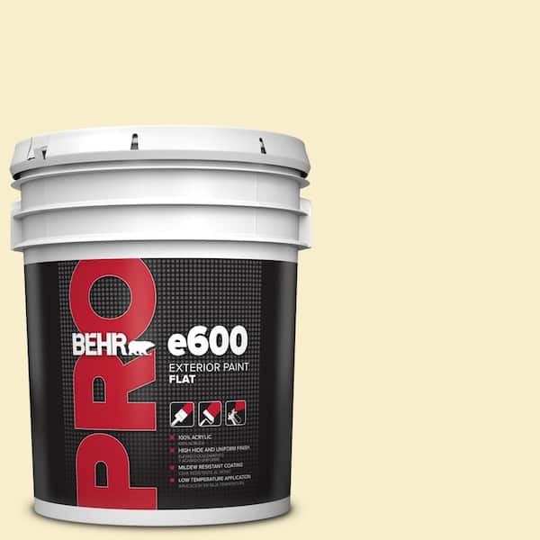 BEHR PRO 5 gal. #ECC-11-1 Daybreak Sun Flat Exterior Paint