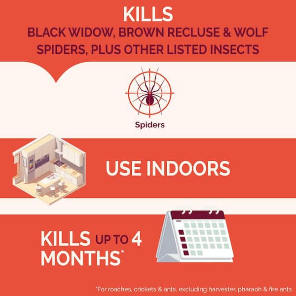 16 oz. Spider and Scorpion Insect Killer Aerosol Spray