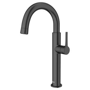 Studio S Single-Handle Bar Faucet with Pull Down Spray Handle in Matte Black