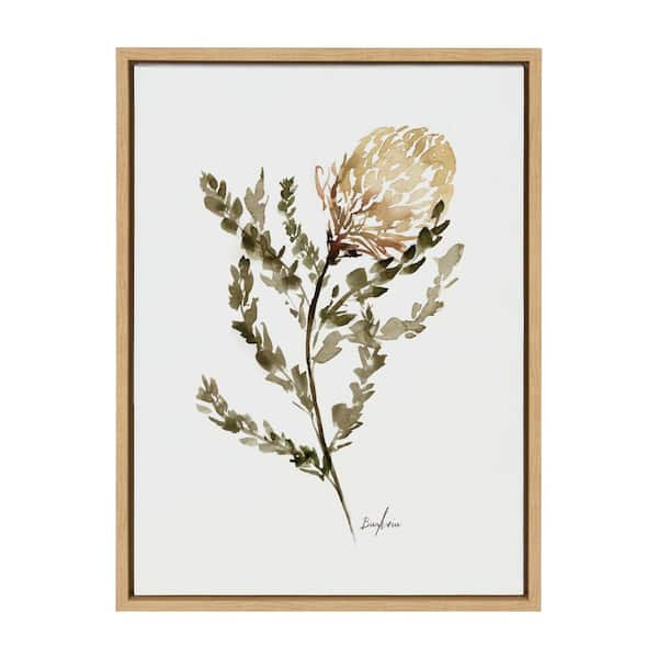 Kate and Laurel Sylvie Wild Banksia by Sara Berrenson Framed Canvas ...