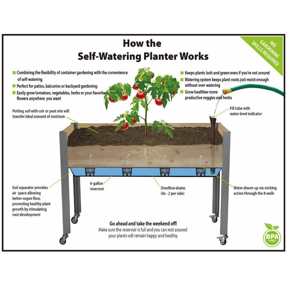 Cedar Self-Watering Elevated Garden Planter with Wheels