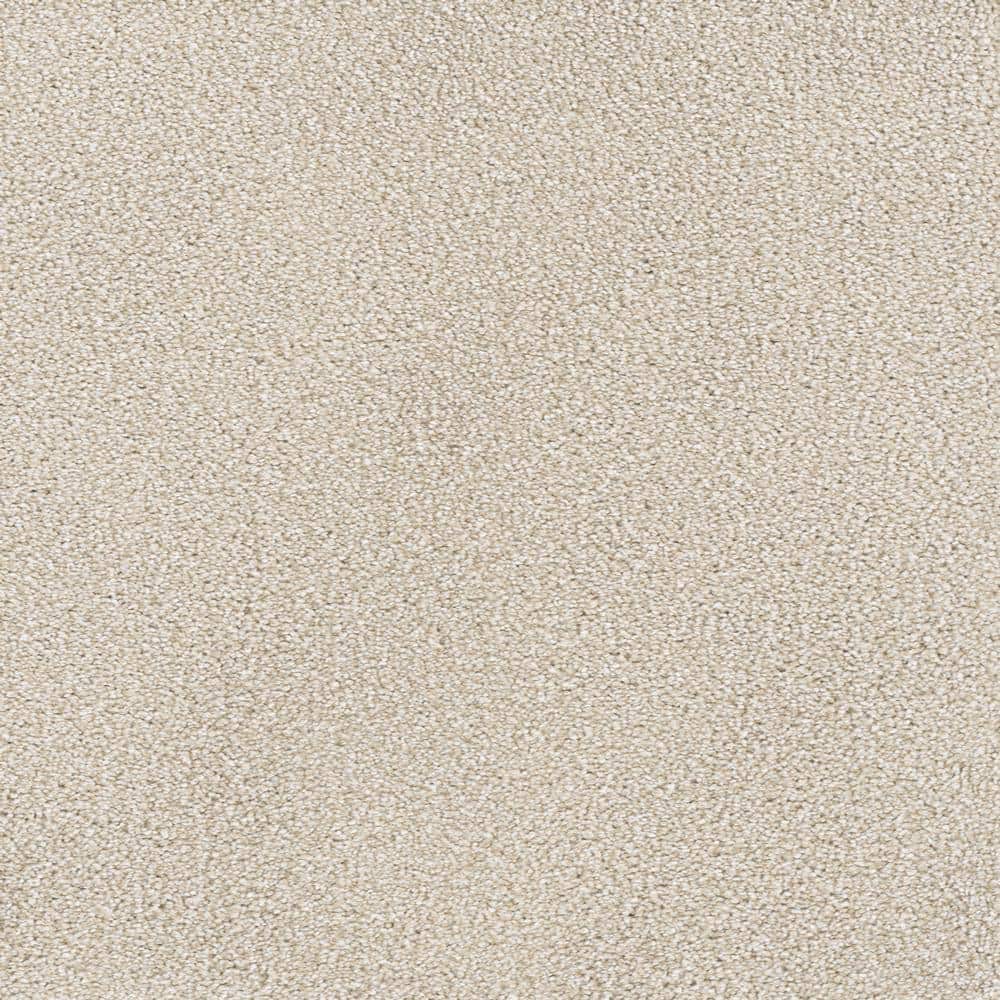 8 in. x  8 in. Texture Carpet Sample - Spicework II -Color West price history on PriceWatchPro