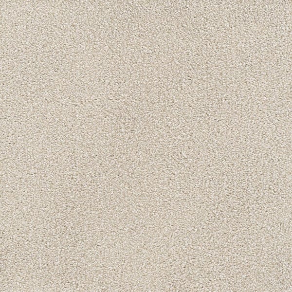 Home Decorators Collection Spicework II  - Key West - Beige 60 oz. SD Polyester Texture Installed Carpet