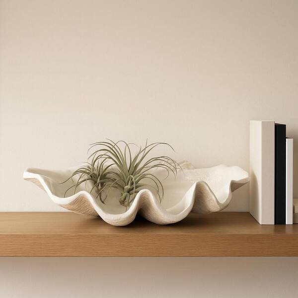 Liv & Skye Ivory Ceramic 25 in. Pearlized Clam Shell Decorative