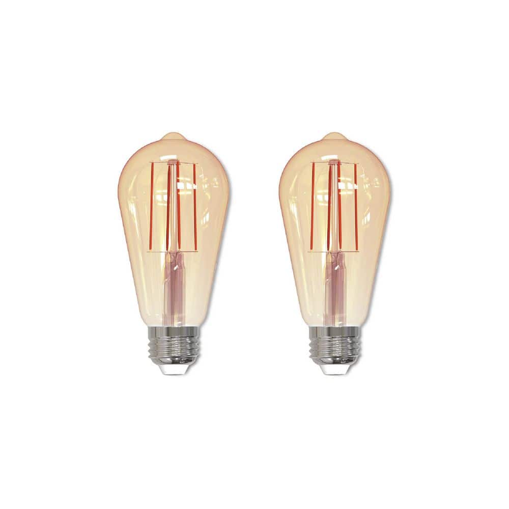 40W Equivalent Amber Light ST18 Dimmable LED Filament Light Bulb (2-Pack)