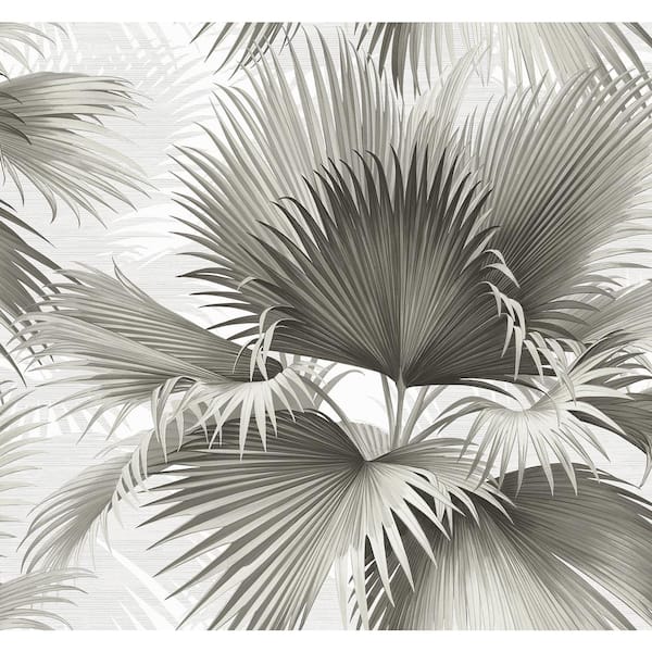 A-Street Prints Summer Palm Charcoal Tropical Wallpaper Sample