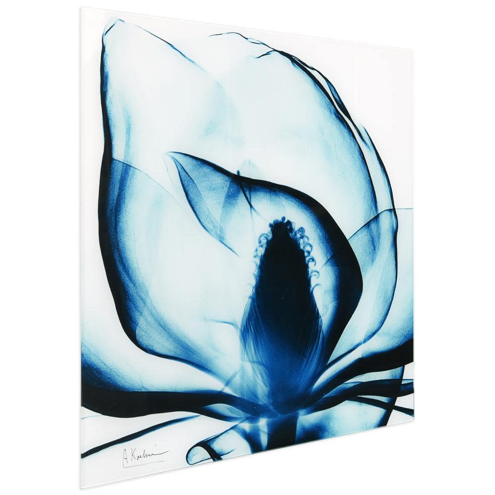 Blue Magnolia X-Ray Unframed Tempered Glass Landscape Wall Art