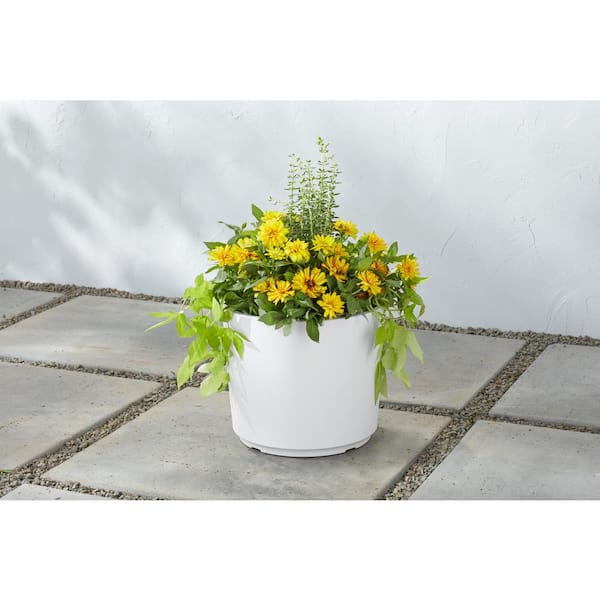 12.5 in. Eloise Medium White Resin Cylinder Planter (12.5 in. D x 9.8 in. H) with punch-out Drainage Holes