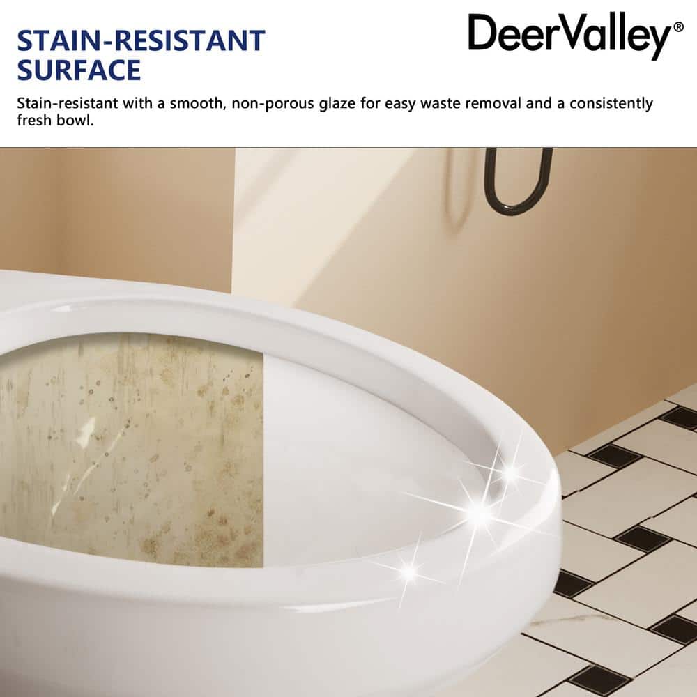 21'' White Ceramic Dual-Flush Elongated Two-Piece Toilet with Seat